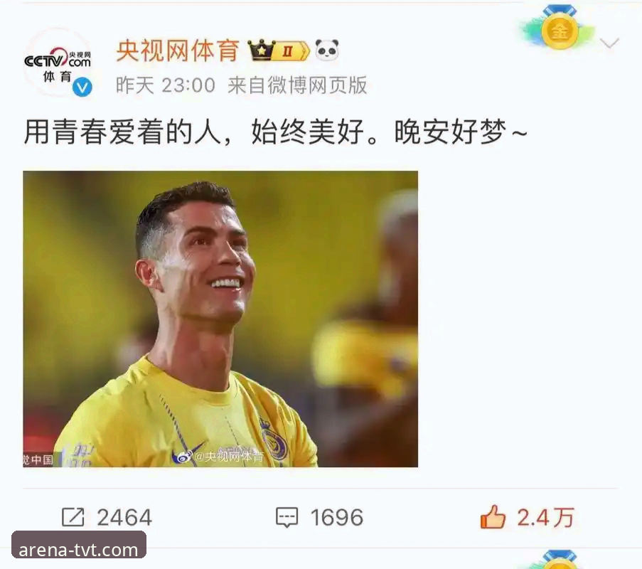TVT体育平台真的靠谱吗？专业视角下的深度解析