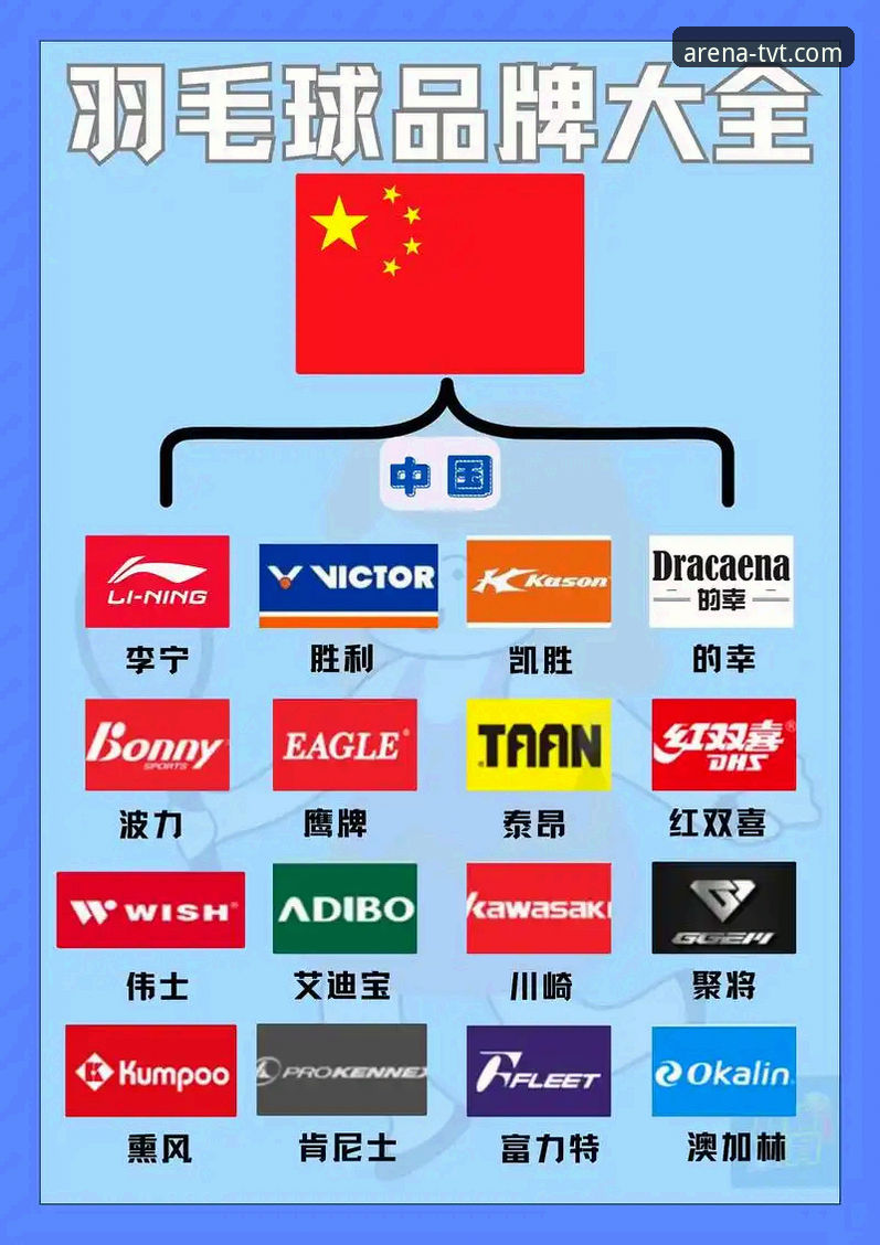 TVT体育支持哪些赛事 TVT体育平台赛事支持全面解析:从热门到冷门,一文读懂覆盖范围